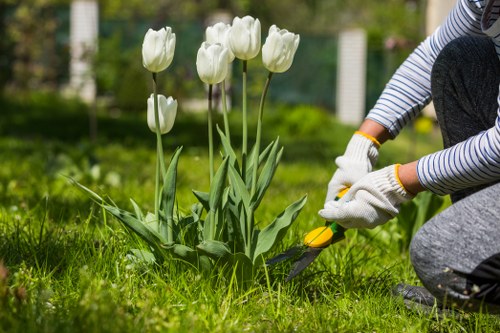 Variety of plants suitable for Twickenham gardens