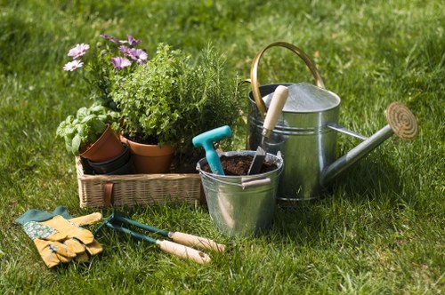 Healthy, neatly trimmed shrubs enhancing curb appeal