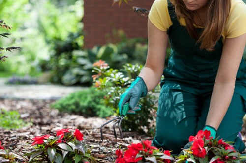 Eco-friendly tree maintenance practices in Twickenham