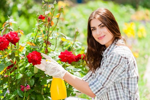Pest management in Twickenham garden plants