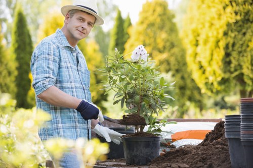Gardener pruning shrubs in Twickenham