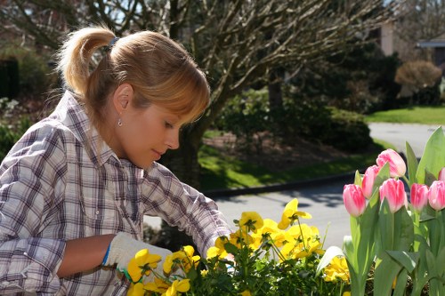 Eco-friendly garden clearance practices