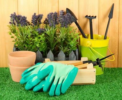 Expert team performing garden clearance