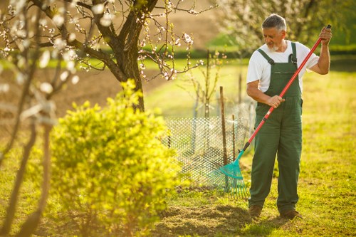 Comprehensive garden clearance services