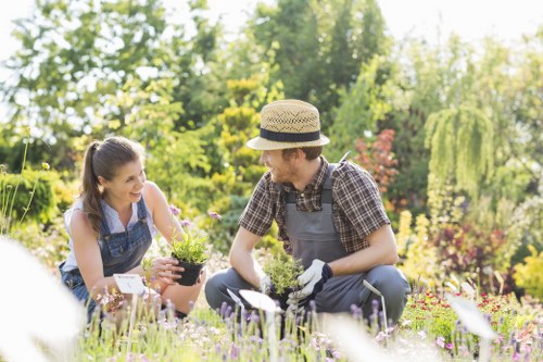 Cost-effective lawn mowing services in Twickenham